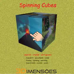 spinning cubes book cover image