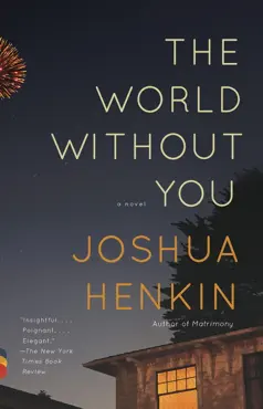 the world without you book cover image