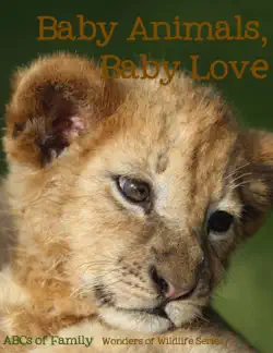 baby animals, baby love book cover image