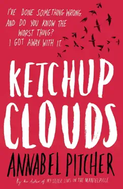 ketchup clouds imagen de la portada del libro
