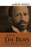 W. E. B. Du Bois synopsis, comments