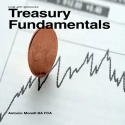 treasury fundamentals book cover image