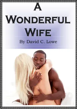 a wonderful wife book cover image
