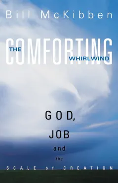 the comforting whirlwind book cover image