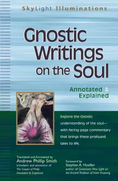gnostic writings on the soul book cover image