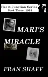 Mari's Miracle sinopsis y comentarios