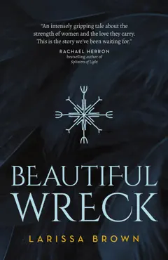 beautiful wreck book cover image