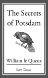 The Secrets of Potsdam synopsis, comments