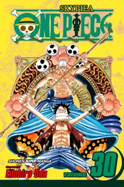 one piece, vol. 30 book cover image