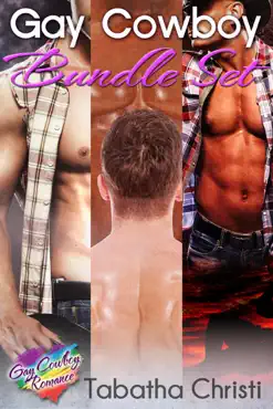 gay cowboy bundle set book cover image