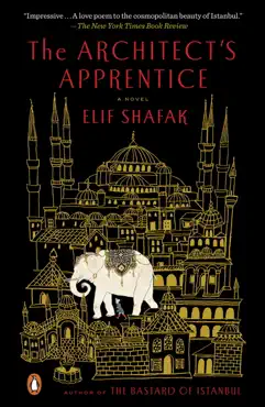 the architect's apprentice book cover image