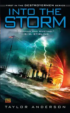 into the storm book cover image