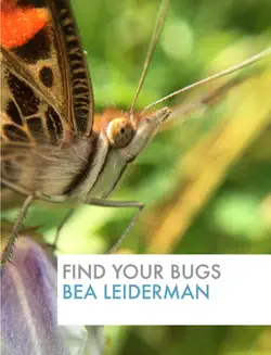 find your bugs book cover image