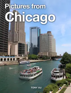pictures from chicago book cover image