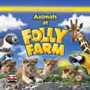 Animals at Folly Farm reviews