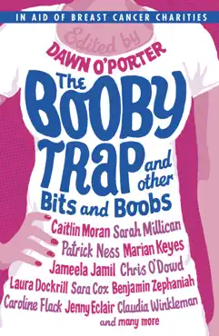 the booby trap and other bits and boobs book cover image