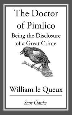 the doctor of pimlico book cover image