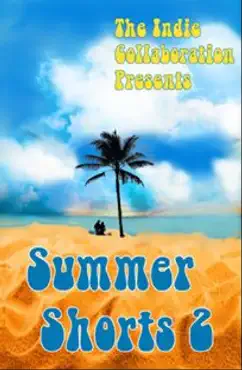 summer shorts 2 book cover image