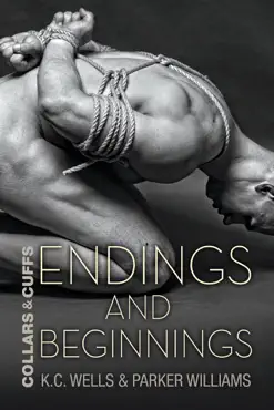 endings and beginnings book cover image