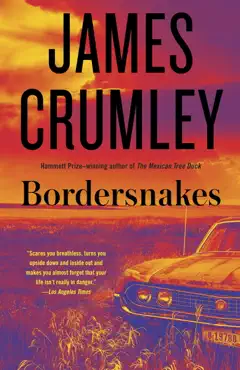 bordersnakes book cover image