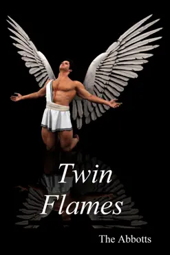 twin flames book cover image