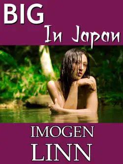 big in japan book cover image