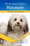 Havanese synopsis, comments