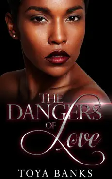 the dangers of love book cover image
