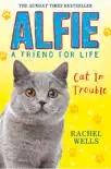 Alfie Cat In Trouble synopsis, comments