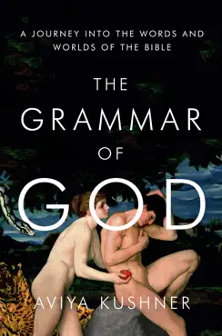 the grammar of god book cover image