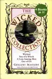 The Wicked Years Complete Collection synopsis, comments