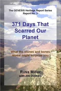 371 days that scarred our planet book cover image