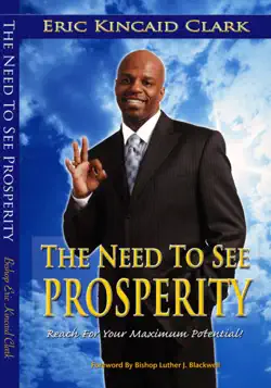the need to see prosperity book cover image