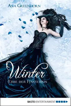 winter - erbe der finsternis book cover image