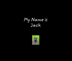 my name is jack book cover image