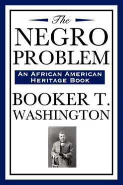 the negro problem book cover image