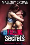 Falling Secrets synopsis, comments