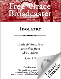 idolatry book cover image
