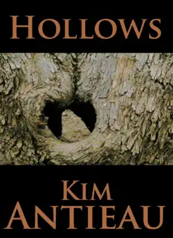 hollows book cover image
