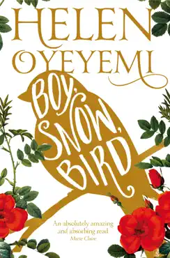 boy, snow, bird imagen de la portada del libro