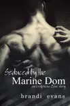 Seduced by the Marine Dom synopsis, comments
