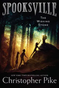the wishing stone imagen de la portada del libro