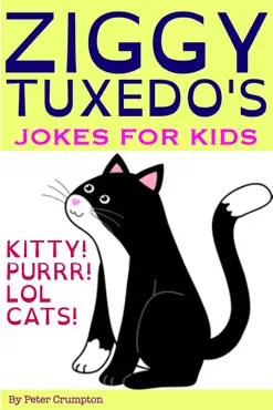 kitty jokes for kids book cover image