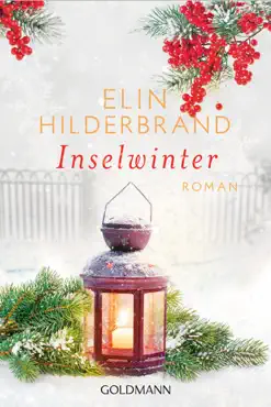 inselwinter book cover image