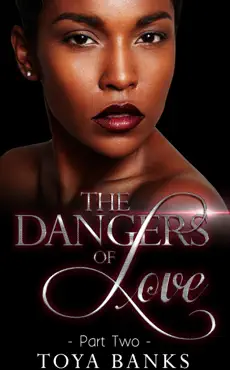 the dangers of love 2 book cover image