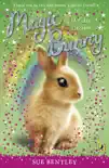 Magic Bunny: Holiday Dreams sinopsis y comentarios