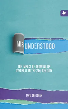 misunderstood: the impact of growing up overseas in the 21st century book cover image