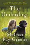 The Underdogs synopsis, comments