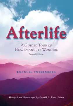 afterlife book cover image