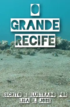o grande recife book cover image